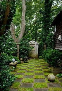 南山院子吃瓜,吃瓜群众的欢乐盛宴