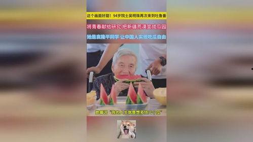 画画人的吃瓜同学,揭秘画画人的趣味生活