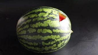 天王星怎么吃瓜,揭秘宇宙中的美食奥秘