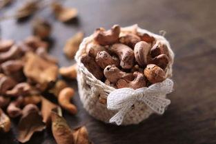 吃瓜的坚果,揭秘坚果界的“瓜王”传奇