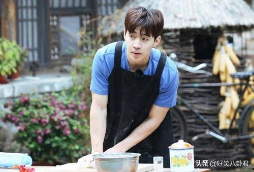 春游环游记吃瓜,吃瓜之旅，畅游人间烟火