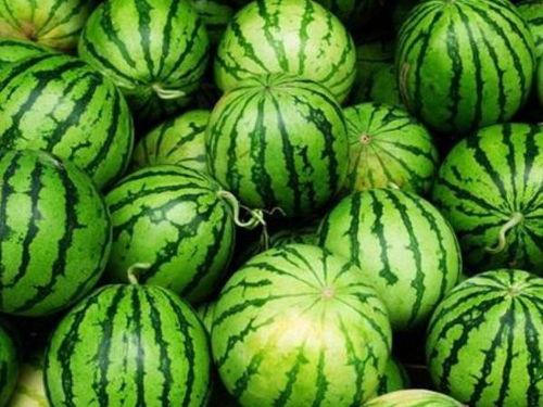 吃心脏的瓜吃的什么心脏,探寻心脏生成之谜