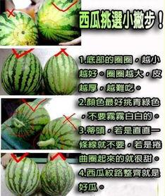 浮水瓜怎么吃,解锁夏日清新美味