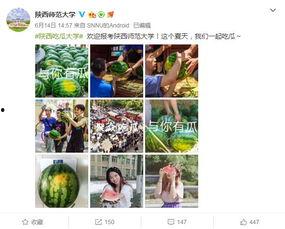 吃瓜学院更新,揭秘娱乐圈幕后真相！