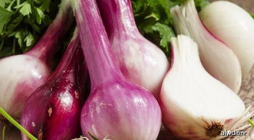 吃了茄瓜可以吃洋葱吗,同食相宜的健康搭配指南