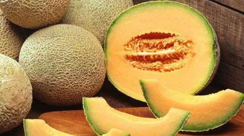 晓米瓜是哈密瓜吗怎么吃,揭秘美味食用新选择