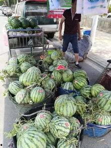 威县吃瓜最新事件,揭秘背后真相与网络舆论风暴