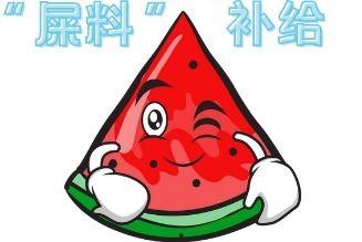 吃瓜现场小故事,一场吃瓜现场的趣味故事