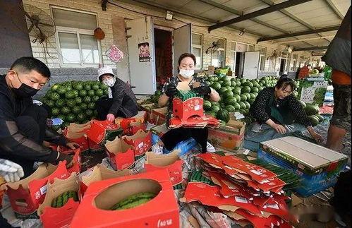 人间真实吃瓜群众图片,吃瓜群众的真实写照