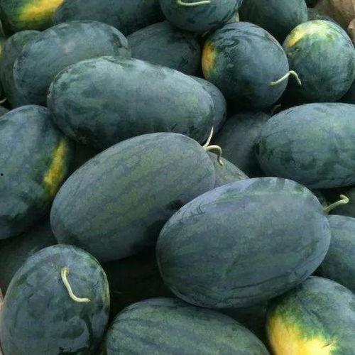 蜜宝王瓜怎么吃,美味多汁,轻松享用的健康佳品