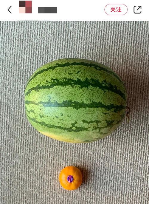 老外吃瓜配图,图解中西文化差异